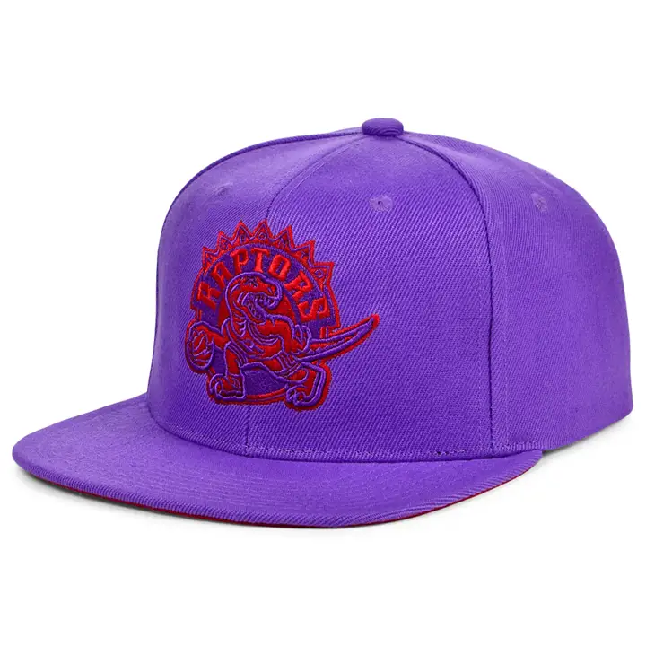 Casquette snapback TORONTO RAPTORS HWC BICOLORE