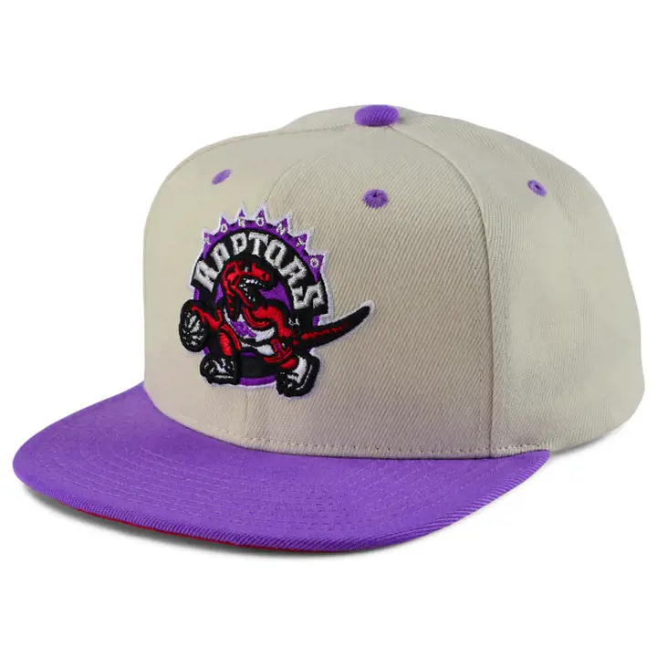TORONTO RAPTORS HWC SAIL 2 TONE SNAPBACK Crème/pur