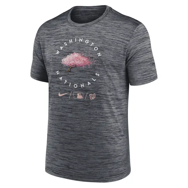 T-shirt Nationals MLB Legend Velocity gris