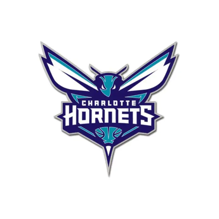 C ÉPINGLETTE D'ÉQUIPE HORNETS AST