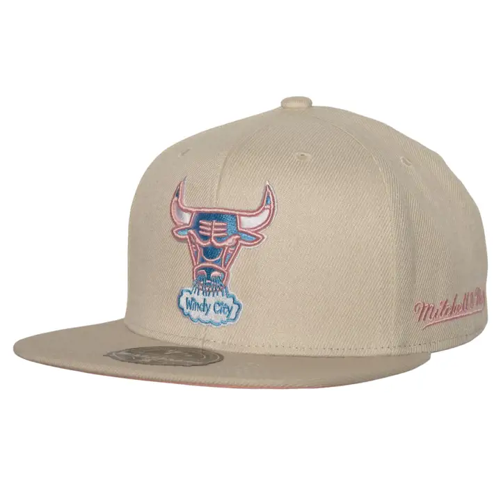 CHICAGO BULLS HWC CAKE POP FITTED Sail