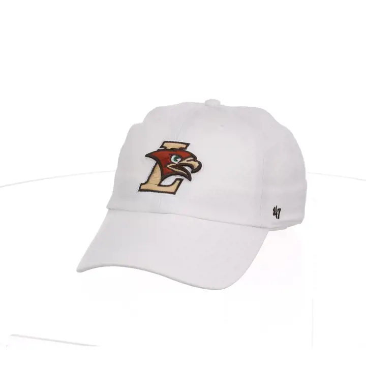 Lehigh 47 Nettoyage Logo principal blc
