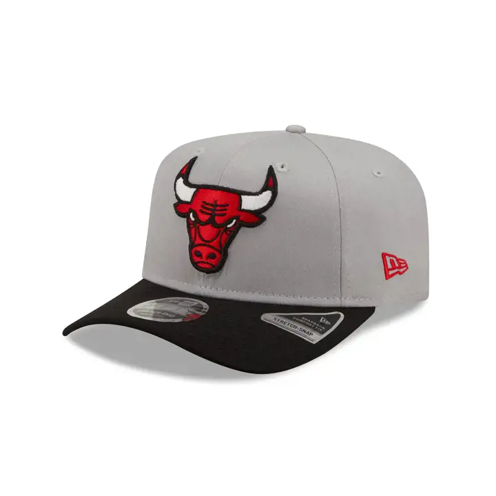 Chicago Bulls NBA Tonal 9FIFTY GRIS/NOIR