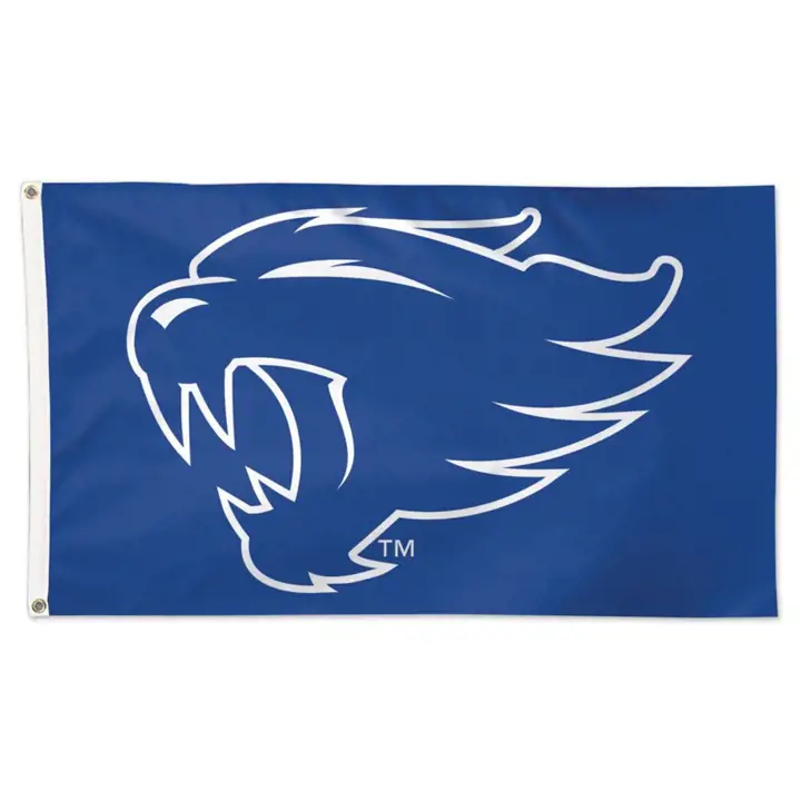 Drapeau de luxe 3x5 des Kentucky Wildcats ast
