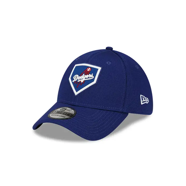 Los Angeles Dodgers 2022 MLB Clubhouse 39THIRTY LTNVY