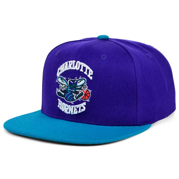 Casquette Snapback Basique Charlotte Hornets NBA MN HWC VIOLET/TURQUOISE/VERT