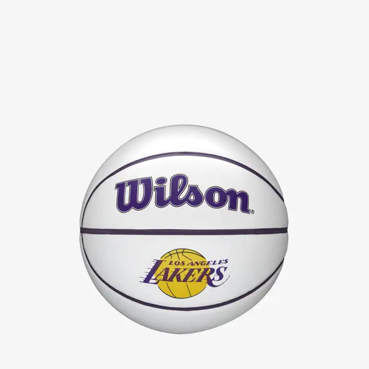 Mini ballon de basket des Lakers de Los Angeles autographié par l'équipe