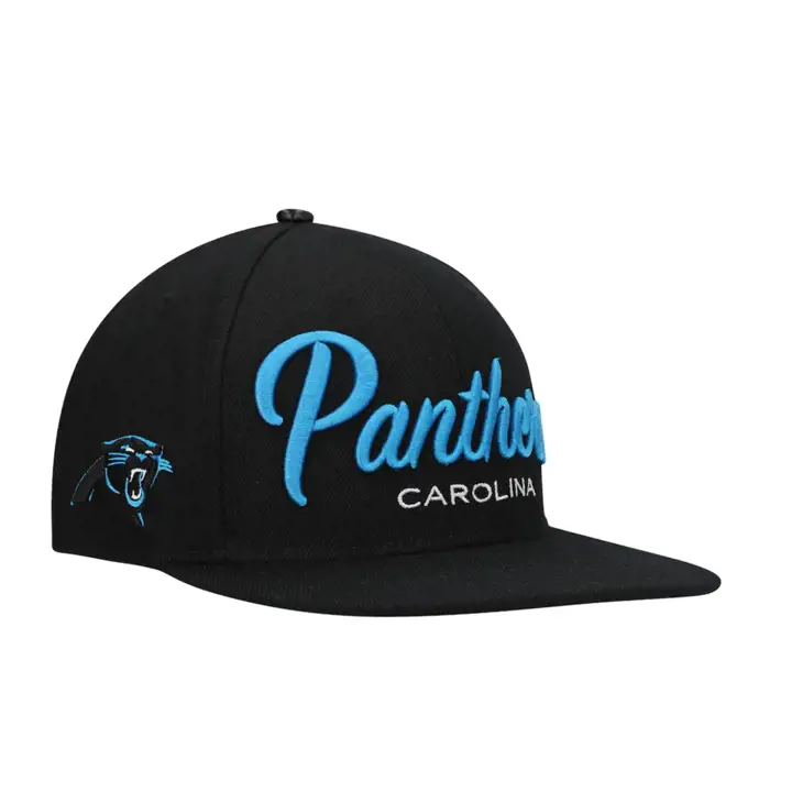 Carolina Panthers NFL PRO Wordmark Script Snap noir