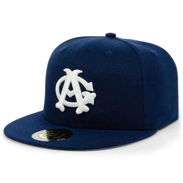 Casquette ajustée Chicago American Giants NLB Marine/Marine/Gris