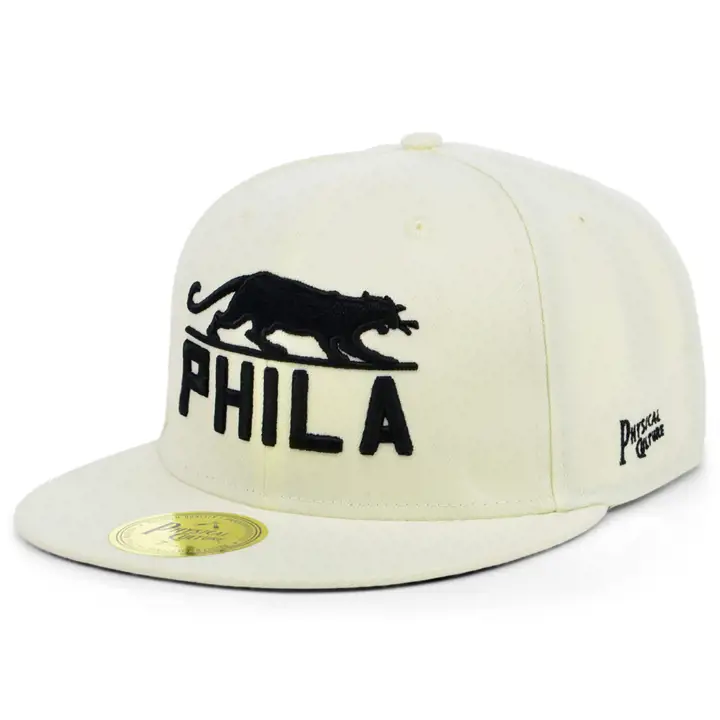 Philadelphia Panthers blk Fives Fitted Sail/Sail/blk