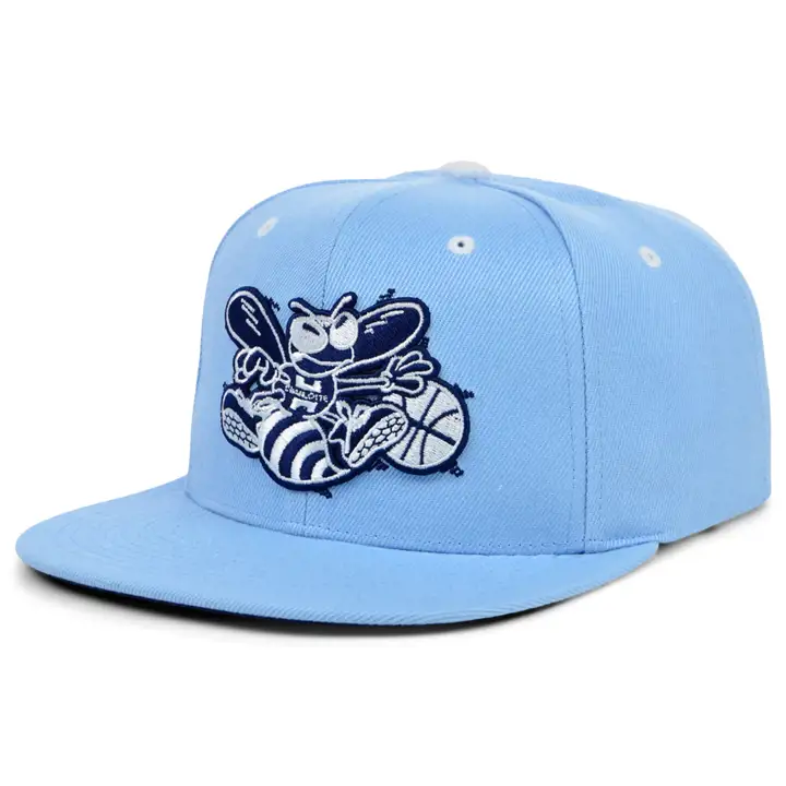 Charlotte Hornets NBA Blue Madness Snapback bleu clair/bleu clair/marine
