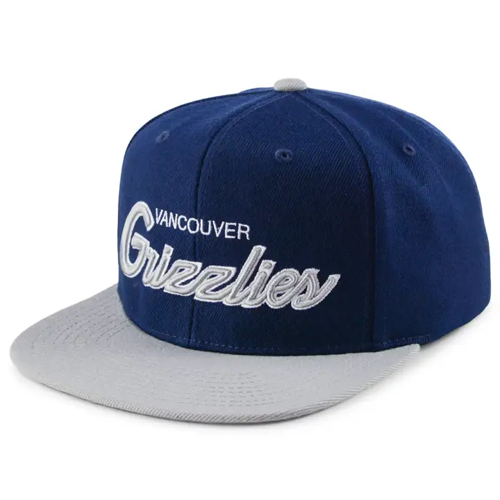 Casquette snapback Vancouver Grizzlies NBA Spirit Script marine/gris