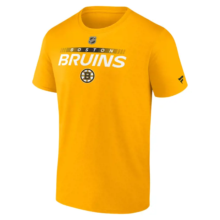 Boston Bruins NHL Authentic Pro Prime T-Shirt GL
