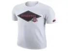 Ohio State Buckeyes Nike NCAA Men's Legend Modern T-Shirt T-Shirts