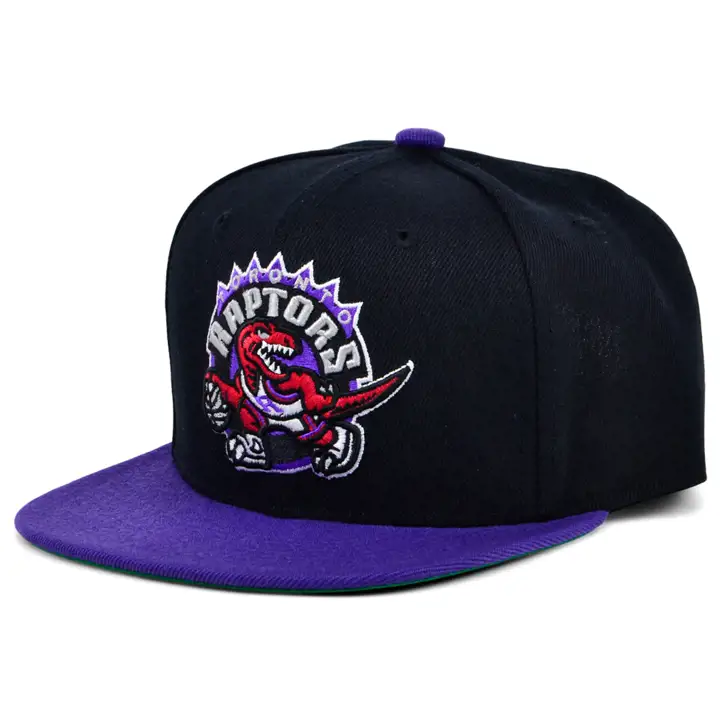 Casquette NBA MN Basic YTH Snapback Toronto Raptors noir/violet/vert