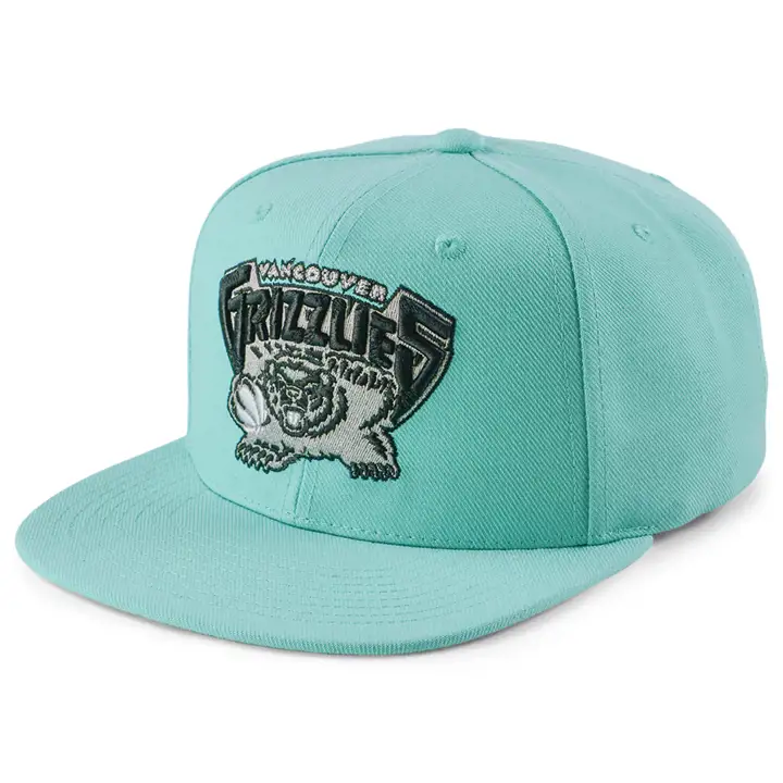 Casquette snapback Vancouver Grizzlies NBA HWC lbl/lbl/gris