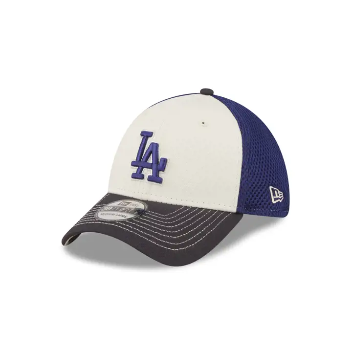 Los Angeles Dodgers MLB 2 tons 39Thirty pierre/bleu