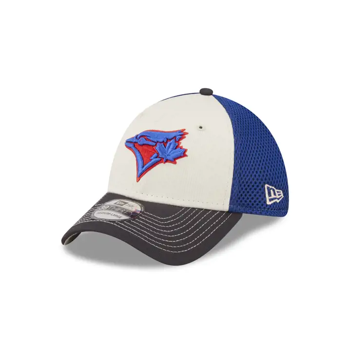 Toronto Blue Jays MLB 2-Tone 39Thirty pierre/bleu