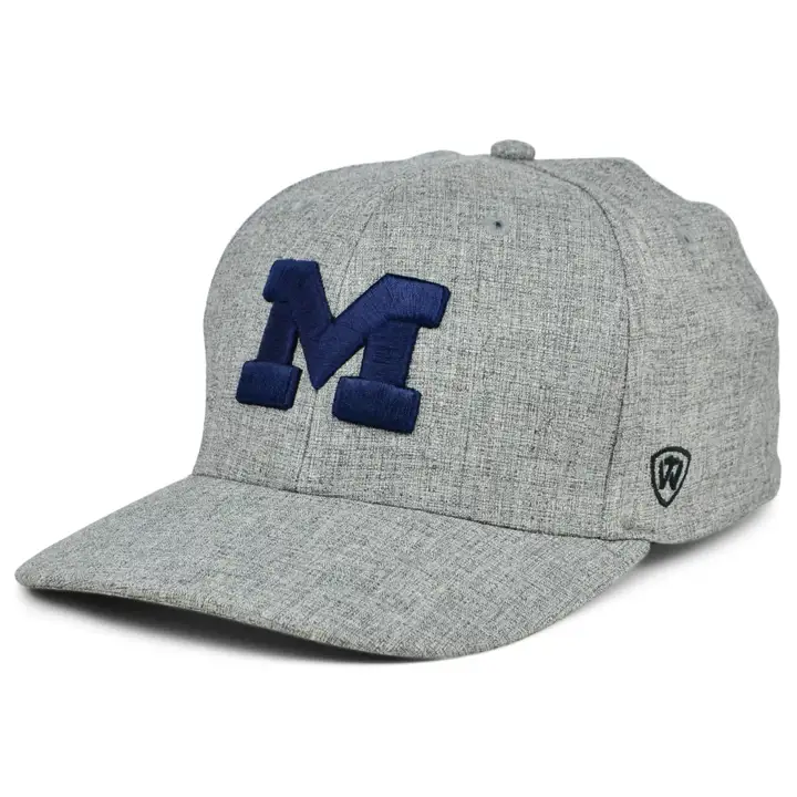 NCAA Sup Flex Michigan Wolverines H-Gris/marine