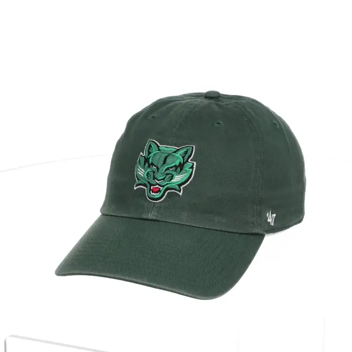 UNIVERSITÉ BINGHAMTON 47 NETTOYAGE vert foncé