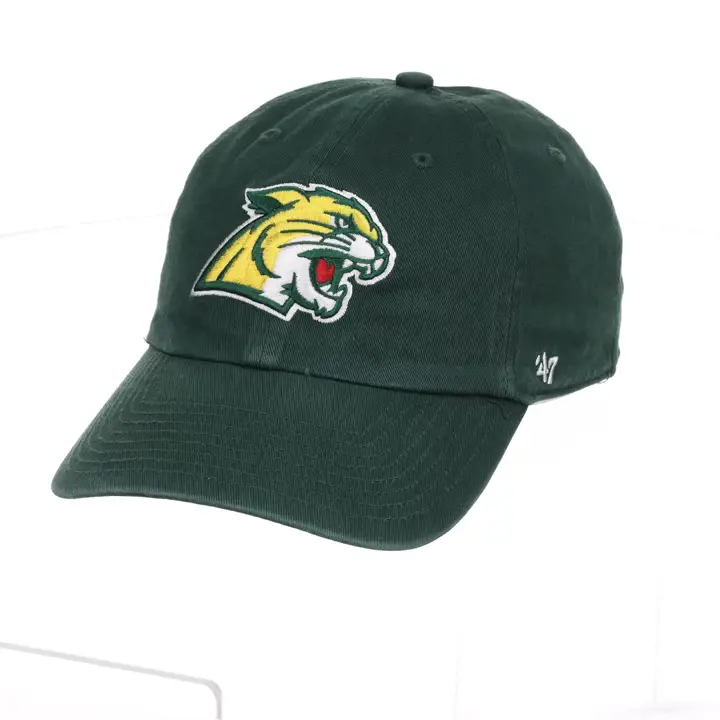 Northern Michigan Wildcats 47 NETTOYAGE Vdkgrn