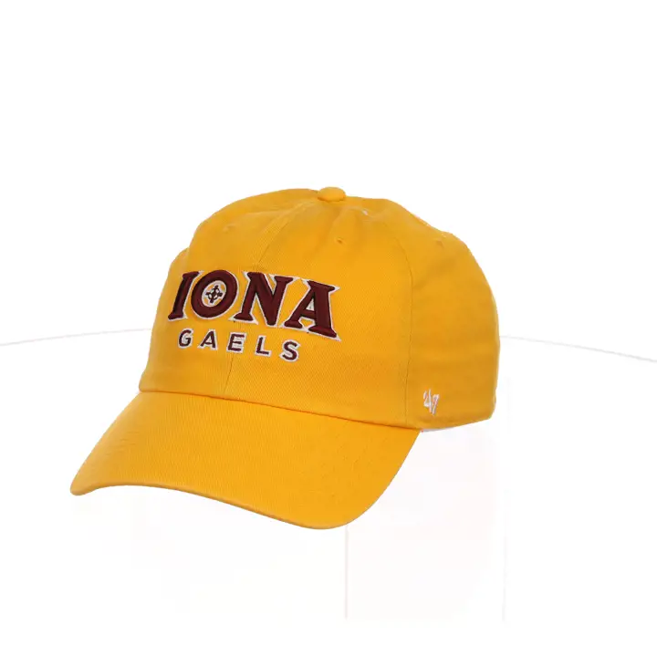 Iona 47 NETTOYAGE gl