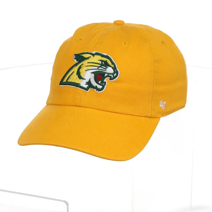 Northern Michigan Wildcats 47 NETTOYAGE gl