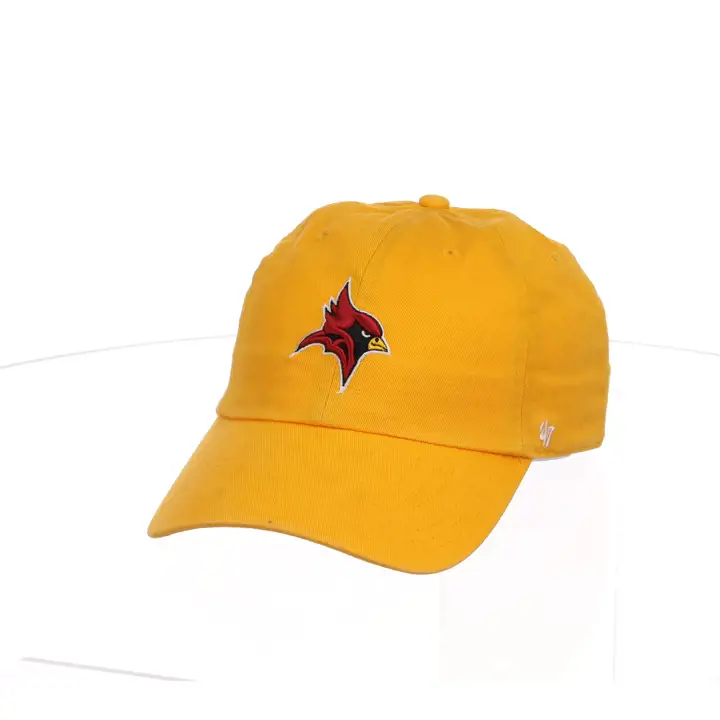 St. John Fisher College 47 NETTOYER gl