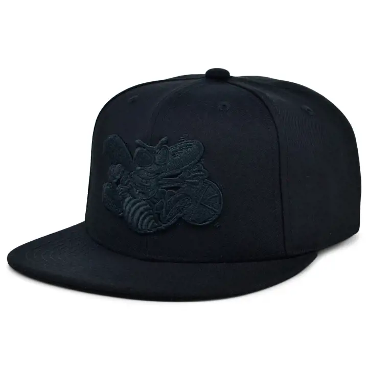 Charlotte Hornets NBA Casquette Snapback Noire/Noire/Noire
