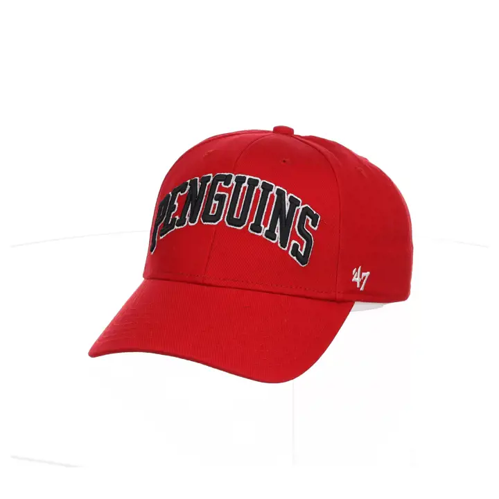 Youngstown State Penguins LEGEND LONE SCRIPT 47 MVP rouge