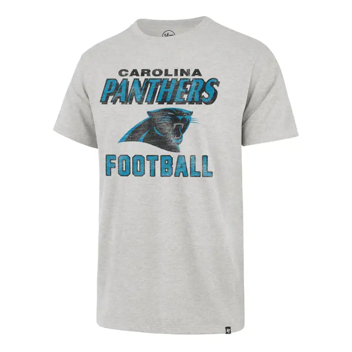 T-shirt CAROLINA PANTHERS NFL Dozer Franklin 22 GRY