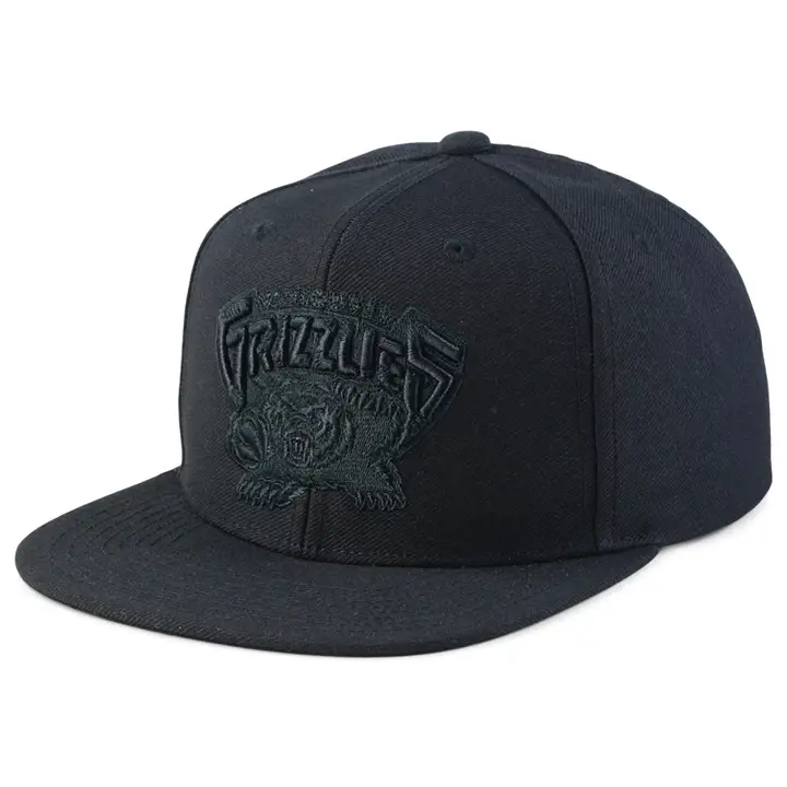Vancouver Grizzlies NBA Blackout Snapback noir/noir/noir HWC