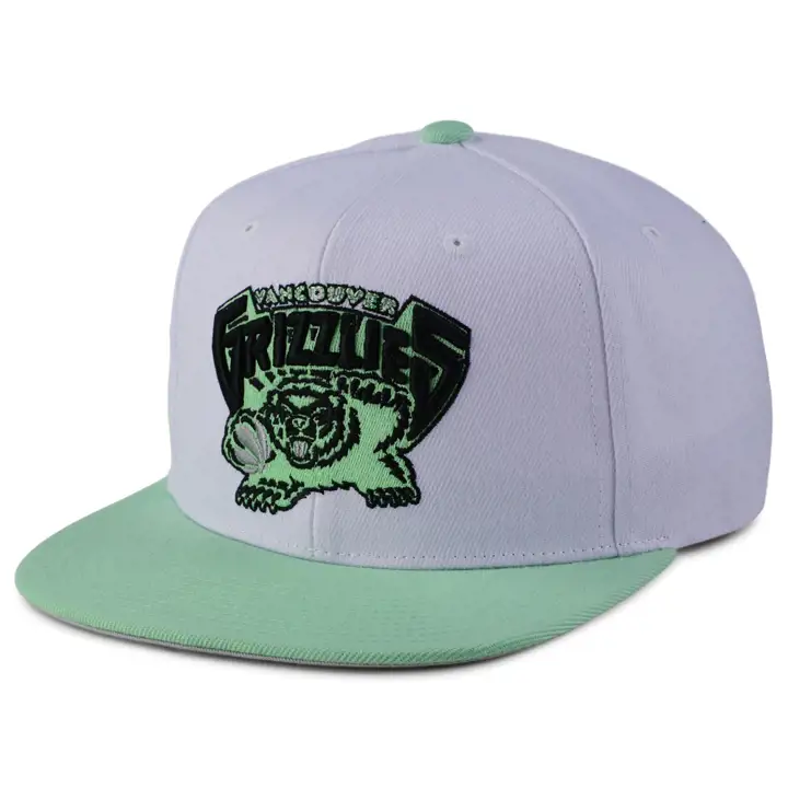 Casquette Snapback Vancouver Grizzlies NBA Mint Wrapper blc/vcl/arg