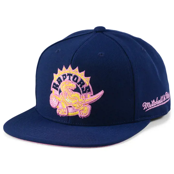 Casquette ajustée Toronto Raptors NBA Gumball marine/marine/rose HWC