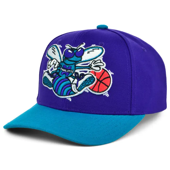 Charlotte Hornets NBA XL Pro Crown pur/turquoise/vert HWC