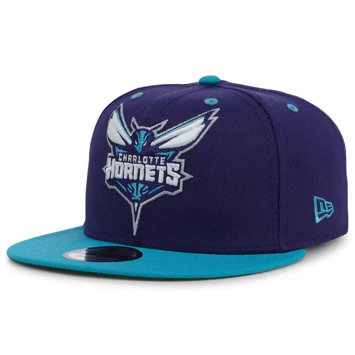 Charlotte Hornets NBA Think Big 9FIFTY pur/teal/grn