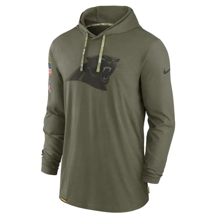 Haut à capuche Nike CAROLINA PANTHERS NFL STS Tonal 22 olv
