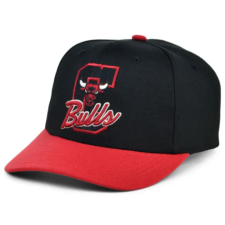 Chicago Bulls NBA Casquette Pro Crown blk/grn