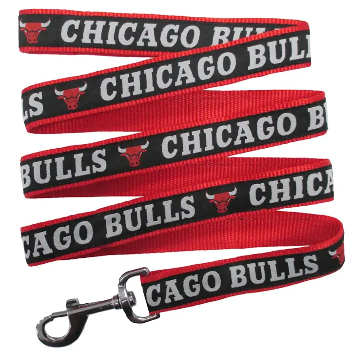 Laisse pour animaux de compagnie des Chicago Bulls