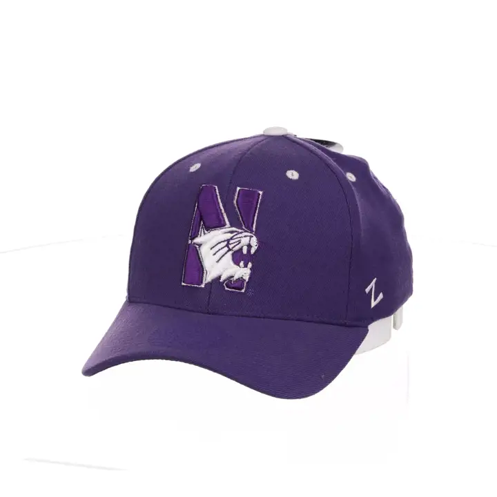 Northwestern Wildcats ZH Stretch Fit pur