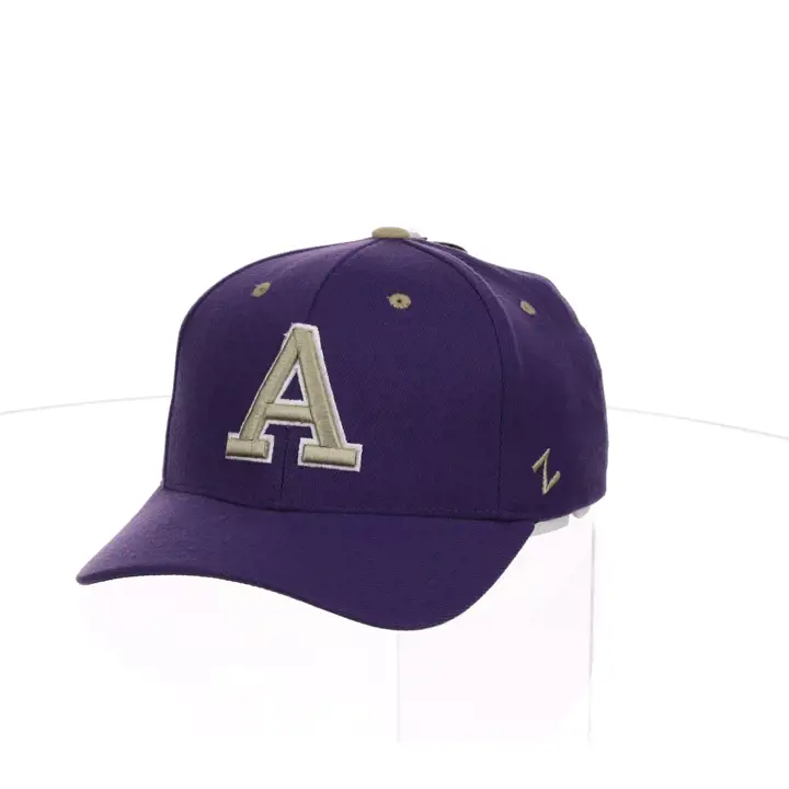Albion College ZH Extensible pur