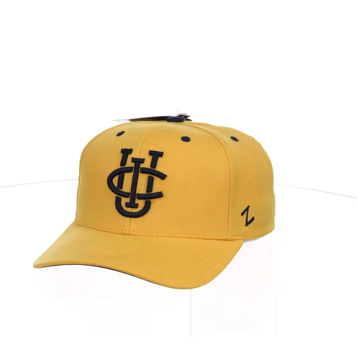U.C. Irvine Anteaters ZH Extensible ajusté gl