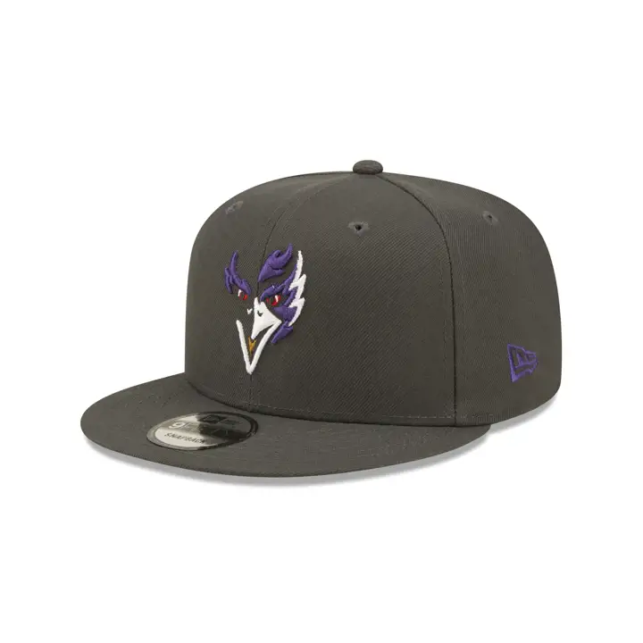 Baltimore Ravens NFL Logo Elements 4.0 Casquette 9FIFTY GRAPH