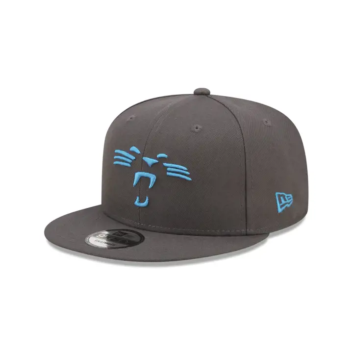Carolina Panthers NFL Logo Elements 4.0 9FIFTY GRAPH