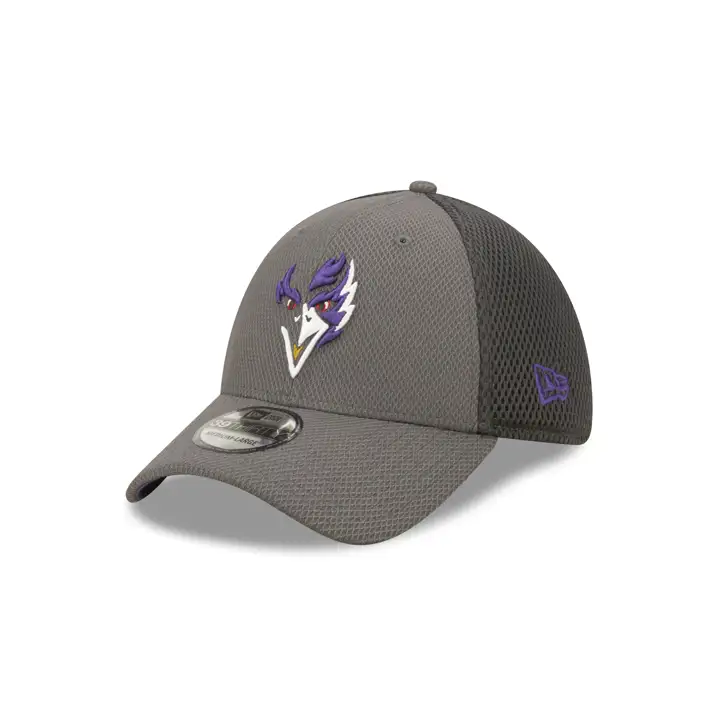 Éléments du logo des Ravens de Baltimore (NFL) 4.0 39THIRTY GRAPH