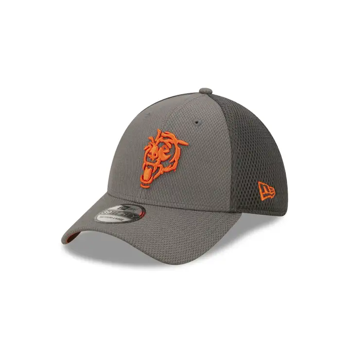 Chicago Bears NFL Logo Elements 4.0 39THIRTY GRAPH
