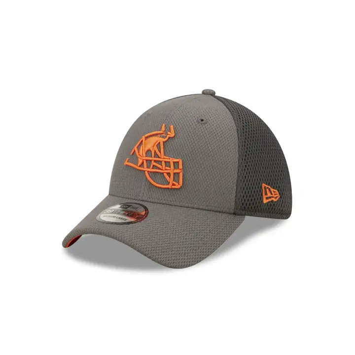 Cleveland Browns NFL Logo Elements 4.0 39THIRTY GRAPH