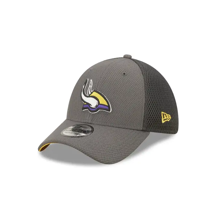 Minnesota Vikings NFL Logo Elements 4.0 39THIRTY GRAPH