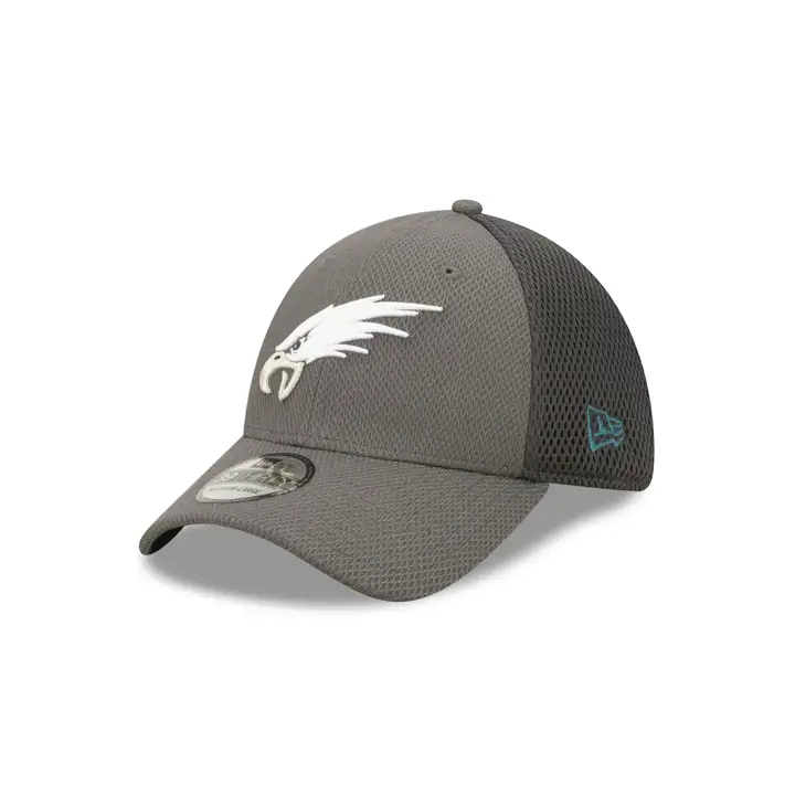 Philadelphia Eagles NFL Logo Elements 4.0 39THIRTY GRAPH