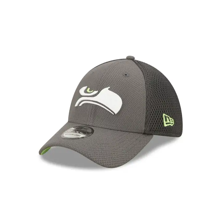 Seattle Seahawks NFL Logo Elements 4.0 39THIRTY GRAPH